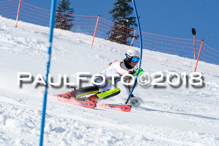 Int. Deutsche Meisterschaft Slalom 25.03.2018