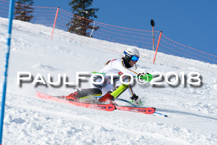 Int. Deutsche Meisterschaft Slalom 25.03.2018