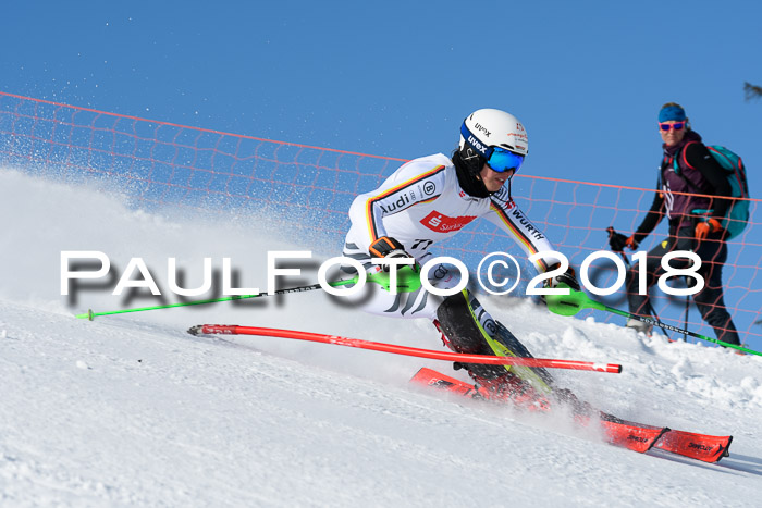 Int. Deutsche Meisterschaft Slalom 25.03.2018