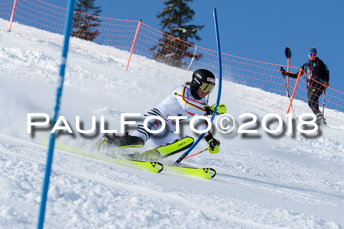 Int. Deutsche Meisterschaft Slalom 25.03.2018