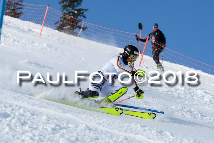 Int. Deutsche Meisterschaft Slalom 25.03.2018