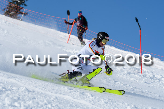 Int. Deutsche Meisterschaft Slalom 25.03.2018