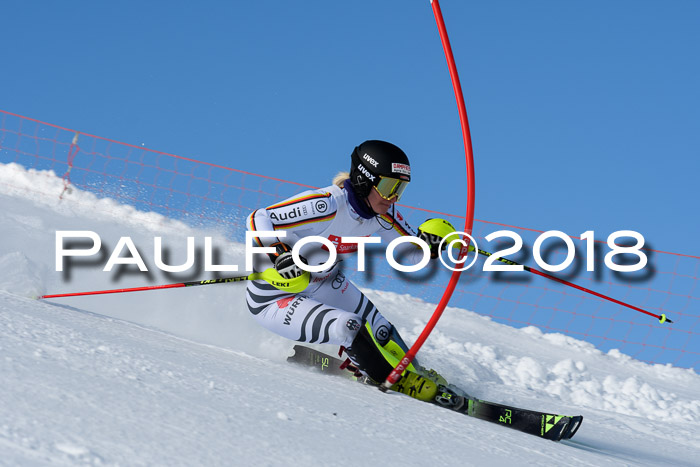 Int. Deutsche Meisterschaft Slalom 25.03.2018