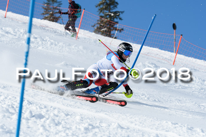 Int. Deutsche Meisterschaft Slalom 25.03.2018