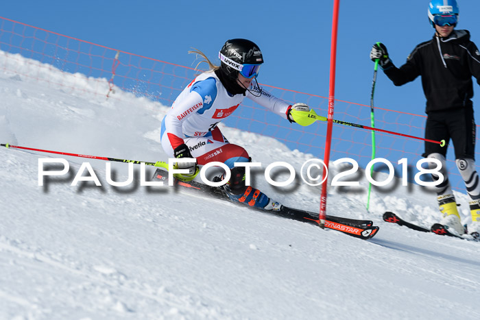 Int. Deutsche Meisterschaft Slalom 25.03.2018