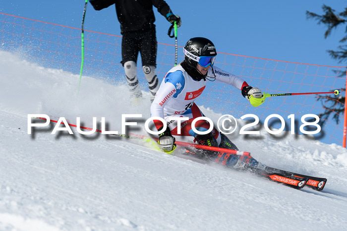 Int. Deutsche Meisterschaft Slalom 25.03.2018