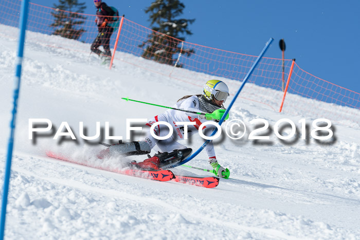 Int. Deutsche Meisterschaft Slalom 25.03.2018