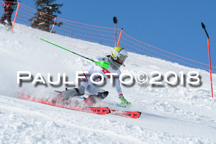 Int. Deutsche Meisterschaft Slalom 25.03.2018