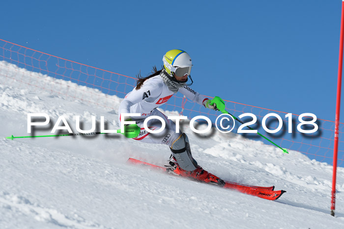 Int. Deutsche Meisterschaft Slalom 25.03.2018