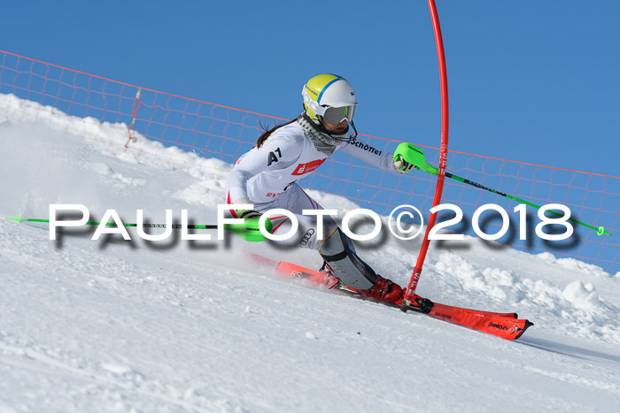 Int. Deutsche Meisterschaft Slalom 25.03.2018