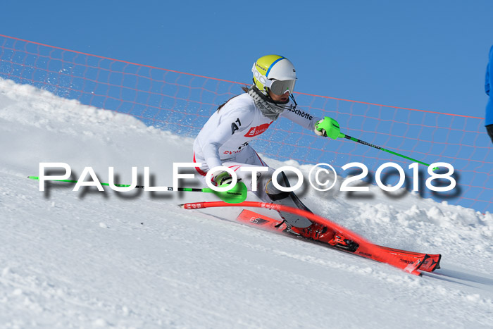 Int. Deutsche Meisterschaft Slalom 25.03.2018