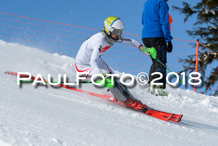 Int. Deutsche Meisterschaft Slalom 25.03.2018