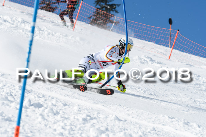 Int. Deutsche Meisterschaft Slalom 25.03.2018