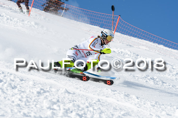 Int. Deutsche Meisterschaft Slalom 25.03.2018