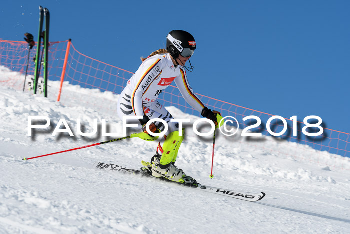 Int. Deutsche Meisterschaft Slalom 25.03.2018