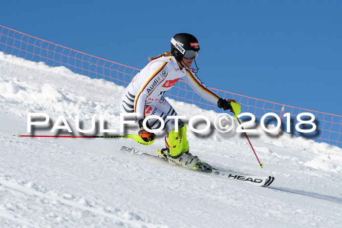 Int. Deutsche Meisterschaft Slalom 25.03.2018