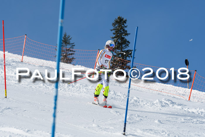 Int. Deutsche Meisterschaft Slalom 25.03.2018