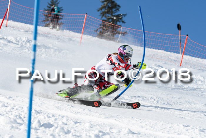 Int. Deutsche Meisterschaft Slalom 25.03.2018