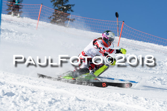 Int. Deutsche Meisterschaft Slalom 25.03.2018