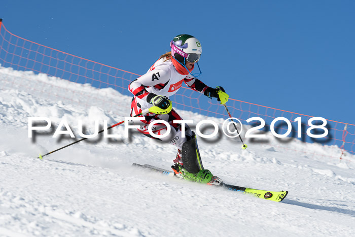 Int. Deutsche Meisterschaft Slalom 25.03.2018