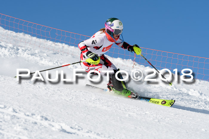 Int. Deutsche Meisterschaft Slalom 25.03.2018