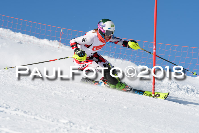 Int. Deutsche Meisterschaft Slalom 25.03.2018