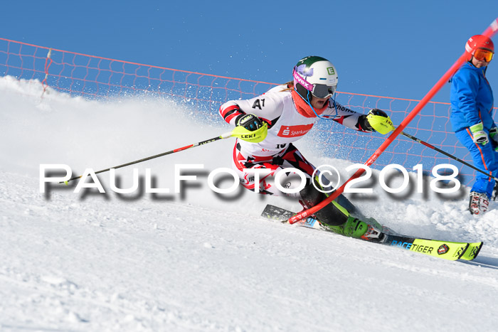 Int. Deutsche Meisterschaft Slalom 25.03.2018