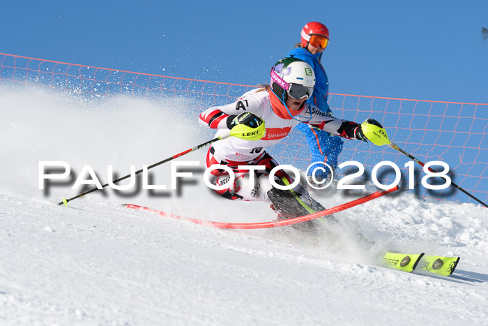 Int. Deutsche Meisterschaft Slalom 25.03.2018