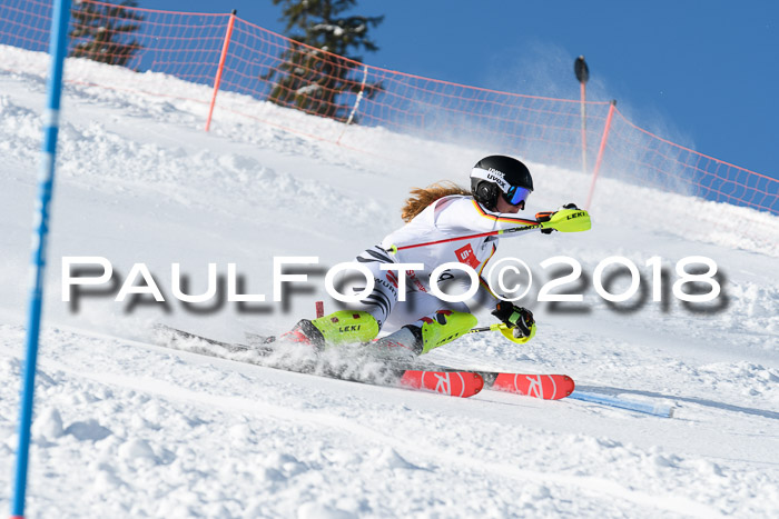 Int. Deutsche Meisterschaft Slalom 25.03.2018