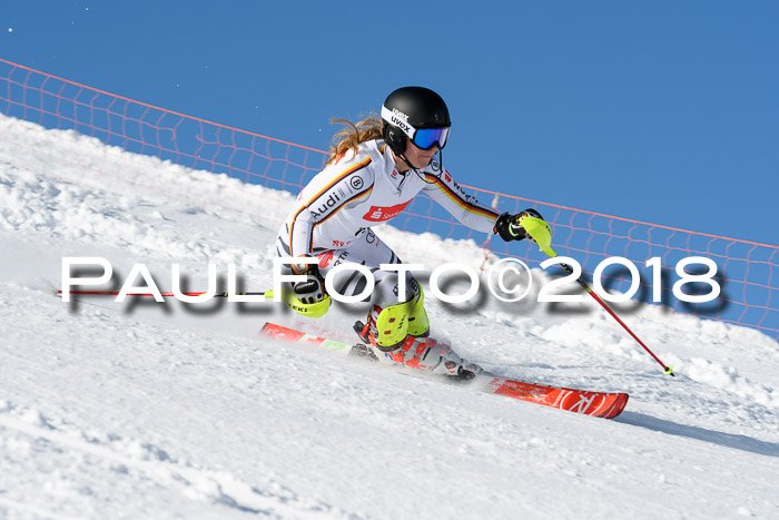 Int. Deutsche Meisterschaft Slalom 25.03.2018