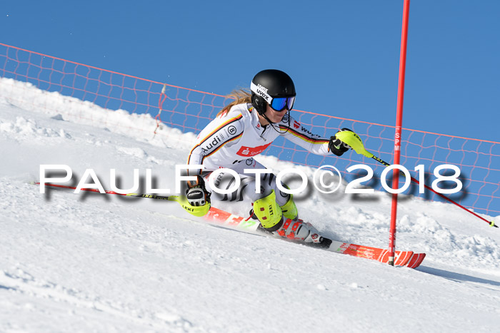 Int. Deutsche Meisterschaft Slalom 25.03.2018