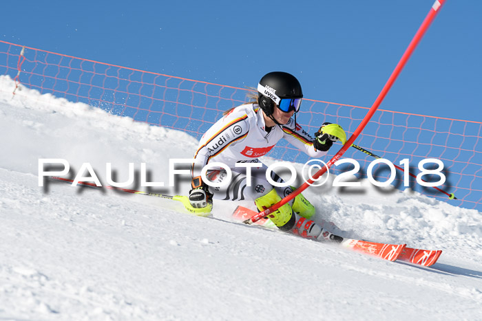 Int. Deutsche Meisterschaft Slalom 25.03.2018