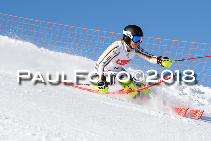 Int. Deutsche Meisterschaft Slalom 25.03.2018