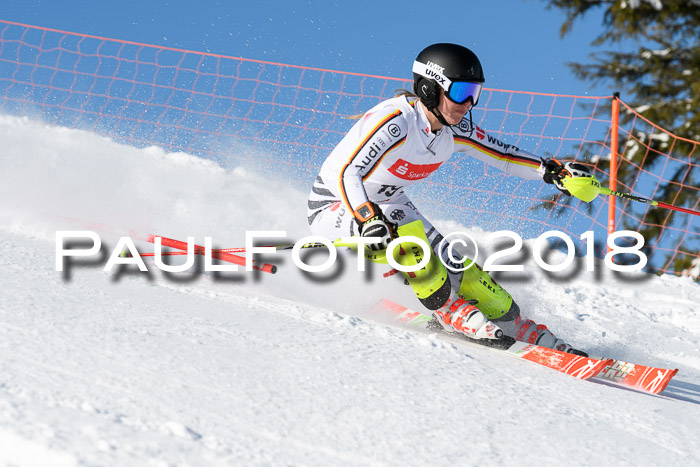 Int. Deutsche Meisterschaft Slalom 25.03.2018