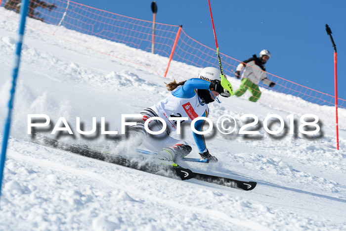 Int. Deutsche Meisterschaft Slalom 25.03.2018