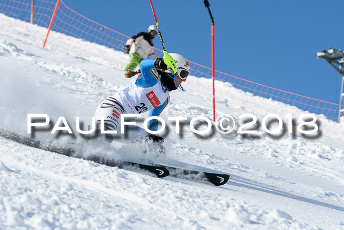 Int. Deutsche Meisterschaft Slalom 25.03.2018