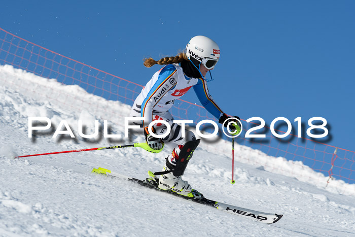 Int. Deutsche Meisterschaft Slalom 25.03.2018