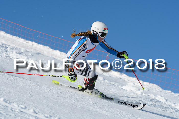 Int. Deutsche Meisterschaft Slalom 25.03.2018