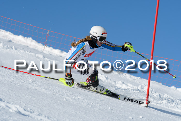 Int. Deutsche Meisterschaft Slalom 25.03.2018