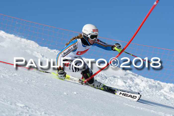 Int. Deutsche Meisterschaft Slalom 25.03.2018