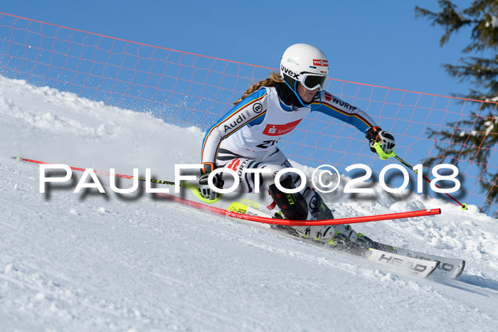 Int. Deutsche Meisterschaft Slalom 25.03.2018