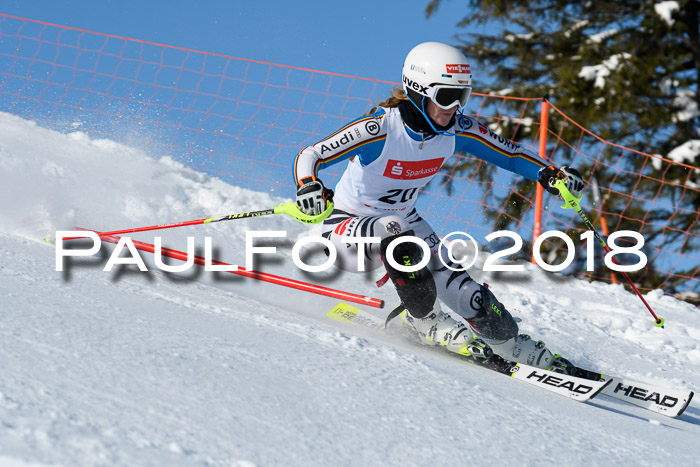 Int. Deutsche Meisterschaft Slalom 25.03.2018