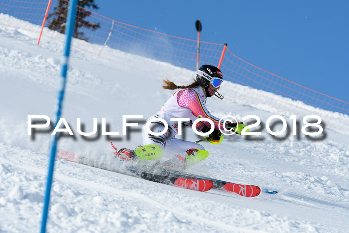 Int. Deutsche Meisterschaft Slalom 25.03.2018