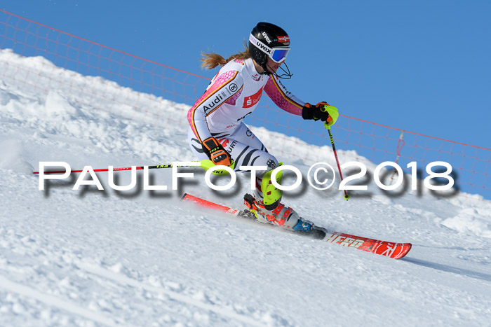 Int. Deutsche Meisterschaft Slalom 25.03.2018