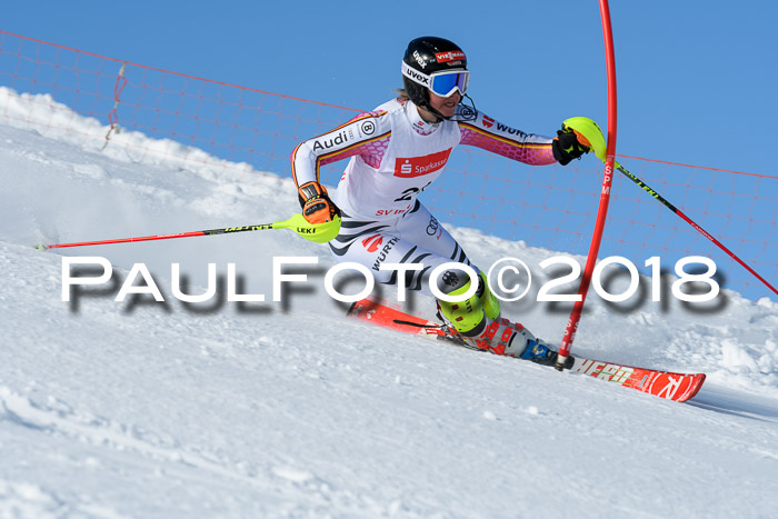 Int. Deutsche Meisterschaft Slalom 25.03.2018