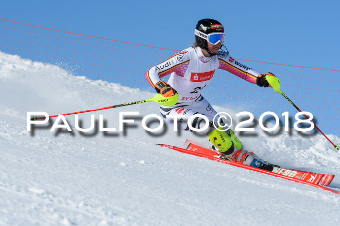 Int. Deutsche Meisterschaft Slalom 25.03.2018