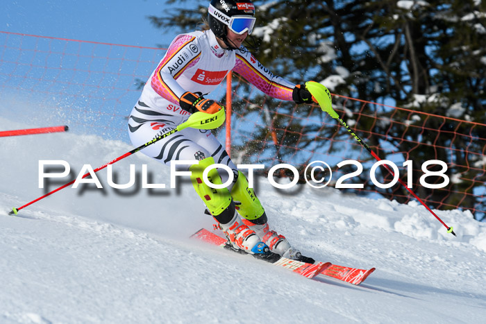 Int. Deutsche Meisterschaft Slalom 25.03.2018