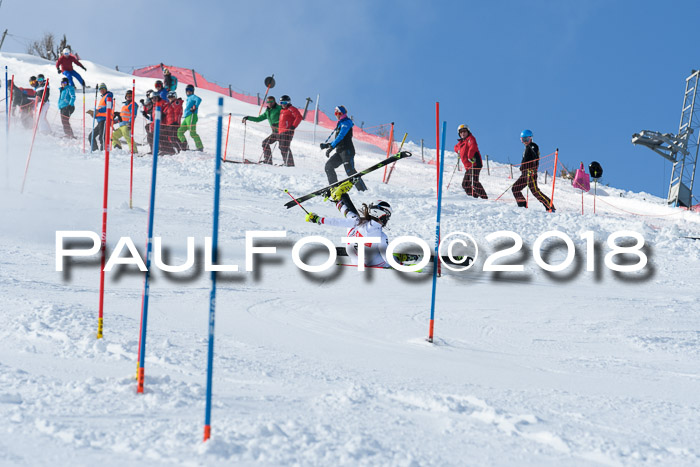 Int. Deutsche Meisterschaft Slalom 25.03.2018