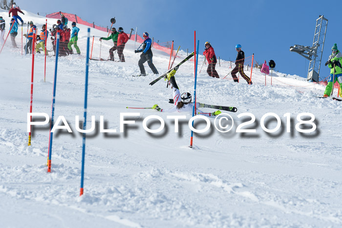 Int. Deutsche Meisterschaft Slalom 25.03.2018