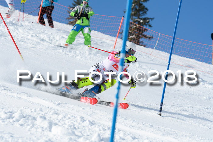 Int. Deutsche Meisterschaft Slalom 25.03.2018